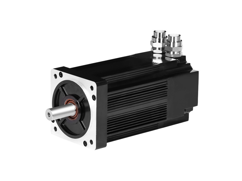 Explosion proof brushless motor
